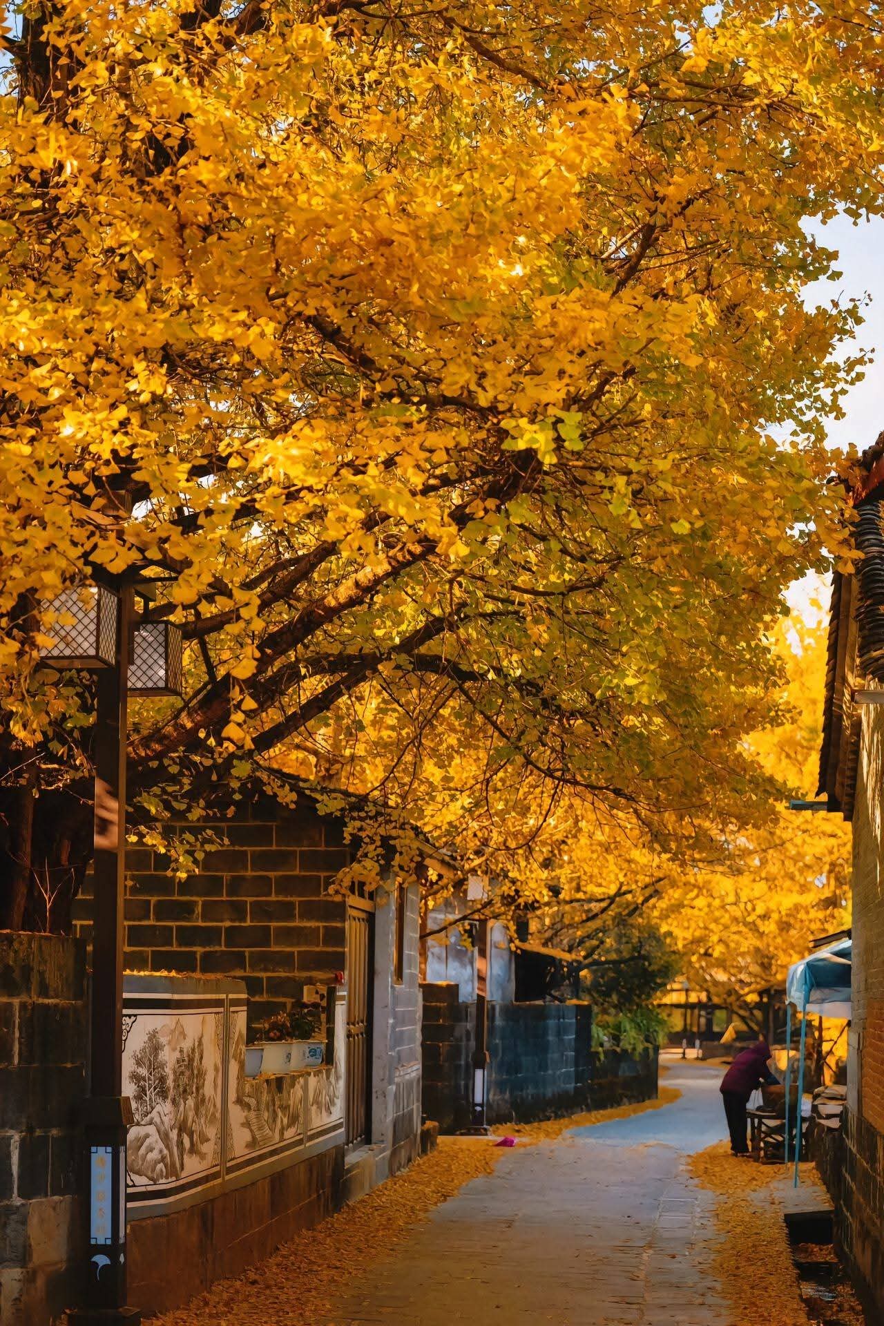 Trần Cát Tường